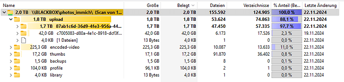 2024-11-22 20_00_07-TreeSize Free